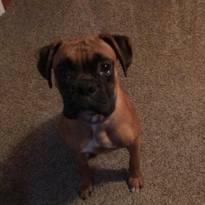 Meet your Posher, Cathy